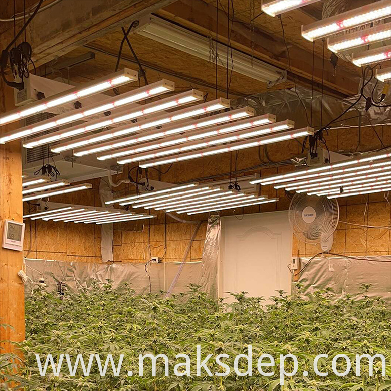 4x8 grow lights